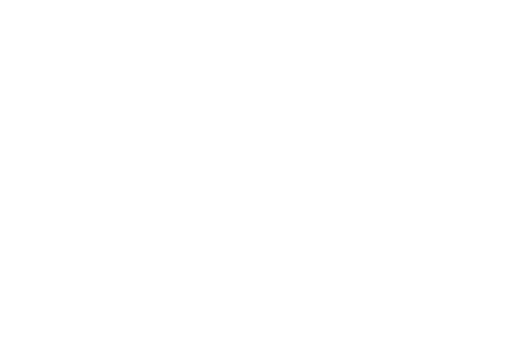 Arden Strategies